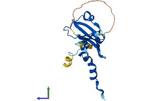 AlphaFold protein structure predicition of Mouse Recombinant Rnaseh2c Protein, UniprotID Q9CQ18