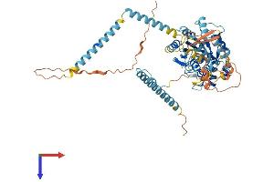 AlphaFold protein structure predicition of Human Recombinant GNL3L Protein, UniprotID Q9NVN8