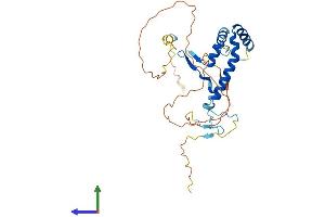 AlphaFold protein structure predicition of Human Recombinant SPRY3 Protein, UniprotID O43610