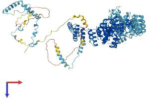 AlphaFold protein structure predicition of Mouse Recombinant Prpf6 Protein, UniprotID Q91YR7