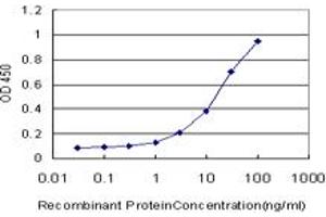 Detection limit for recombinant GST tagged NHLH2 is approximately 0. (NHLH2 anticorps  (AA 36-135))