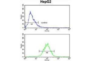 Flow Cytometry (FACS) image for anti-Signal Peptidase Complex Subunit 3 Homolog (SPCS3) antibody (ABIN3002742)