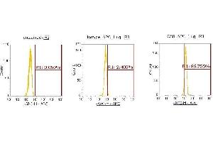 Flow Cytometry (FACS) image for anti-Carbonic Anhydrase VIII (CA8) (AA 1-290) antibody (APC) (ABIN5568536)