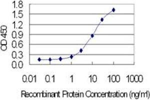 Detection limit for recombinant GST tagged BATF3 is 0.