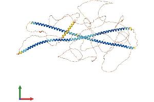 AlphaFold protein structure predicition of Human Recombinant NEFH Protein, UniprotID P12036