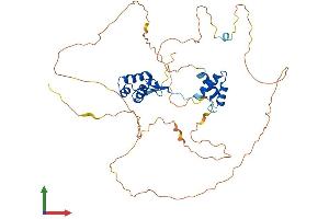 AlphaFold protein structure predicition of Mouse Recombinant Pax8 Protein, UniprotID Q00288