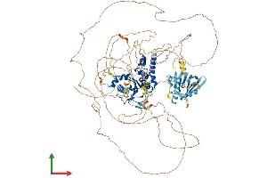 AlphaFold protein structure predicition of Mouse Recombinant Senp7 Protein, UniprotID Q8BUH8
