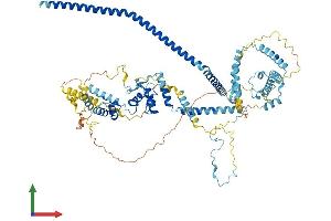 AlphaFold protein structure predicition of Human Recombinant CDC5L Protein, UniprotID Q99459