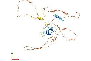 AlphaFold protein structure predicition of Human Recombinant ZAR1 Protein, UniprotID Q86SH2