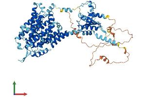AlphaFold protein structure predicition of Human Recombinant SLC26A9 Protein, UniprotID Q7LBE3