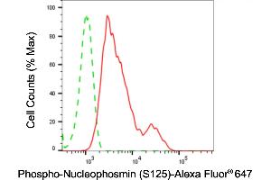 Flow cytometric analysis of phospho-nucleophosmin (S125) expression in HepG2 cells using phospho-nucleophosmin (S125) antibody (ABIN7799672), 1:2,000). (Recombinant NPM1 anticorps  (pSer125))