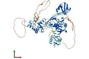 AlphaFold protein structure predicition of Mouse Recombinant Lnx1 Protein, UniprotID O70263