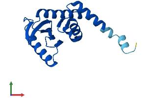 AlphaFold protein structure predicition of Mouse Recombinant Ap1s1 Protein, UniprotID P61967