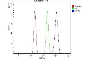 Flow Cytometry analysis of HL-60 cells using anti-DPYS antibody (ABIN7599618). (DPYS anticorps  (AA 100-518))