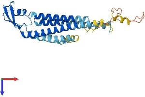 Gap Junction Protein, beta 3, 31kDa (GJB3) (AA 1-270) protein (His tag)