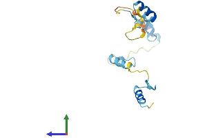 AlphaFold protein structure predicition of Human Recombinant ZNF576 Protein, UniprotID Q9H609