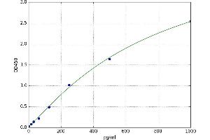 A typical standard curve