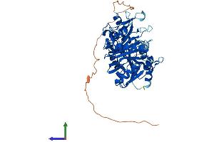 AlphaFold protein structure predicition of Mouse Recombinant Trmt2b Protein, UniprotID Q8BQJ6
