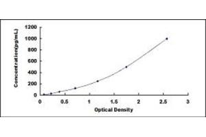 Typical standard curve (FGF10 Kit ELISA)