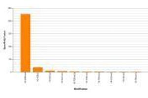 Histone H3K36me3 antibody (rAb) specificity tested by peptide array analysis. (Recombinant Histone 3 anticorps  (H3K36me3))