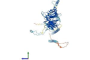 AlphaFold protein structure predicition of Human Recombinant DNAI2 Protein, UniprotID Q9GZS0