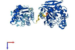 AlphaFold protein structure predicition of Human Recombinant EPHX2 Protein, UniprotID P34913