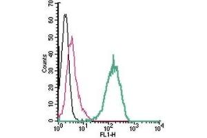 Cell surface detection of Renin Receptor in live intact human THP-1 monocytic leukemia cells: (black line) Cells.