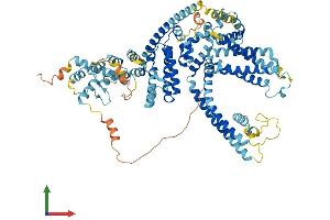 AlphaFold protein structure predicition of Mouse Recombinant Trpc1 Protein, UniprotID Q61056