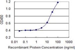 Detection limit for recombinant GST tagged PRKDC is 1 ng/ml as a capture antibody. (PRKDC anticorps  (AA 4019-4128))