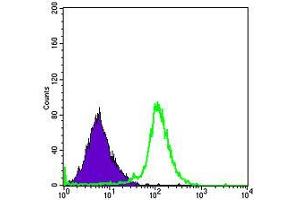 Flow cytometric analysis of HepG2 cells using RBP4 mouse mAb (green) and negative control (purple).