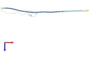AlphaFold protein structure predicition of Mouse Recombinant Ccdc91 Protein, UniprotID Q9D8L5