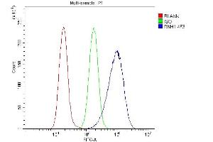 Flow Cytometry analysis of A549 cells using anti- Ribonuclease Inhibitor/RNH1 antibody (ABIN7603117). (RNH1 anticorps  (N-Term))