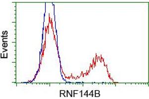 HEK293T cells transfected with either pCMV6-ENTRY RNF144B (RC209302) (Red) or empty vector control plasmid (Blue) were immunostained with anti-RNF144B mouse monoclonal (ABIN2453612), and then analyzed by flow cytometry. (RNF144B anticorps  (AA 1-256))