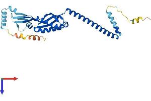 AlphaFold protein structure predicition of Mouse Recombinant Stom Protein, UniprotID P54116