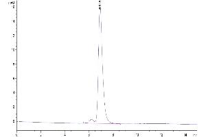 The purity of Mouse Fc is greater than 95 % as determined by SEC-HPLC. (IgG1 Fc (AA 98-324) Protéine)
