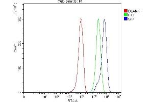 Flow Cytometry analysis of 293T cells using anti-ST7 antibody (ABIN4886732). (ST7 anticorps  (Middle Region))
