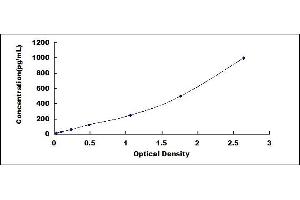 Typical standard curve (alpha Taxilin Kit ELISA)