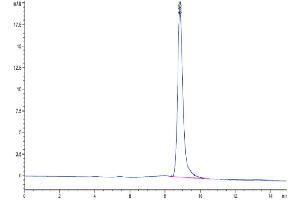 The purity of Mouse B7-H3 is greater than 95 % as determined by SEC-HPLC.