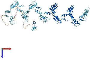 AlphaFold protein structure predicition of Human Recombinant ZNF709 Protein, UniprotID Q8N972