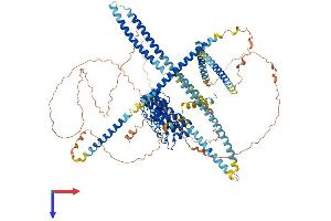 Ankyrin Repeat Domain 24 (ANKRD24) (AA 1-985) protein (His tag)
