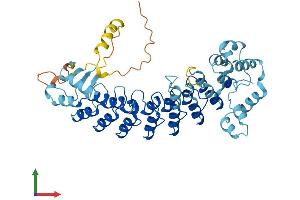 AlphaFold protein structure predicition of Mouse Recombinant Asb10 Protein, UniprotID Q91ZT7