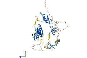 AlphaFold protein structure predicition of Human Recombinant STAU2 Protein, UniprotID Q9NUL3