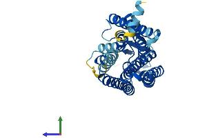AlphaFold protein structure predicition of Human Recombinant OR52A1 Protein, UniprotID Q9UKL2