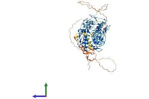 AlphaFold protein structure predicition of Human Recombinant ZNF256 Protein, UniprotID Q9Y2P7