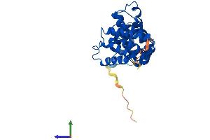 AlphaFold protein structure predicition of Mouse Recombinant Cnot9 Protein, UniprotID Q9JKY0