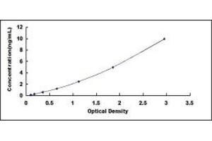Typical standard curve (ITIH1 Kit ELISA)