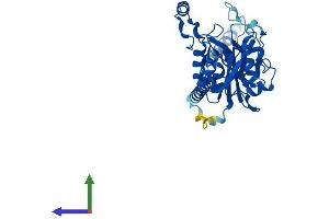 AlphaFold protein structure predicition of Human Recombinant B3GAT3 Protein, UniprotID O94766