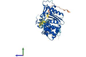 AlphaFold protein structure predicition of Human Recombinant TENT5C Protein, UniprotID Q5VWP2
