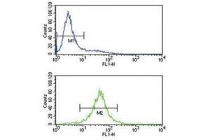 IL-10 antibody flow cytometry analysis of Jurkat cells (bottom histogram) compared to a negative control (top histogram). (IL-10 anticorps  (AA 27-53))