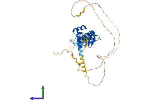 AlphaFold protein structure predicition of Human Recombinant LHX4 Protein, UniprotID Q969G2